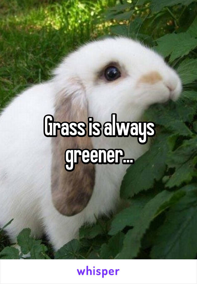 Grass is always greener...