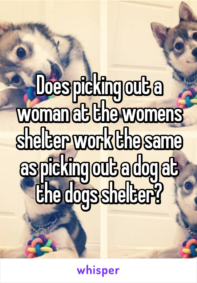 Does picking out a woman at the womens shelter work the same as picking out a dog at the dogs shelter?