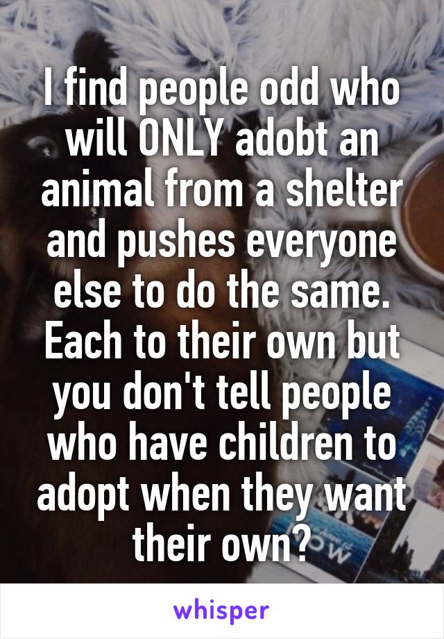 I find people odd who will ONLY adobt an animal from a shelter and pushes everyone else to do the same. Each to their own but you don't tell people who have children to adopt when they want their own?