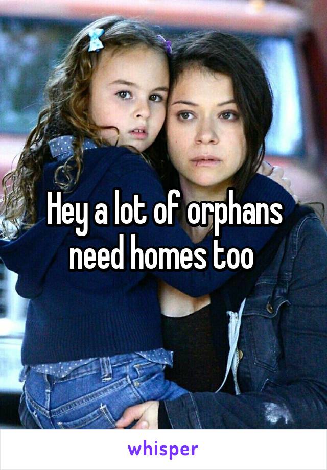 Hey a lot of orphans need homes too 