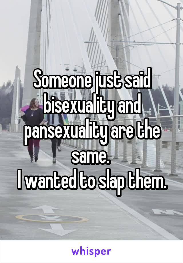Someone just said bisexuality and pansexuality are the same. 
I wanted to slap them.
