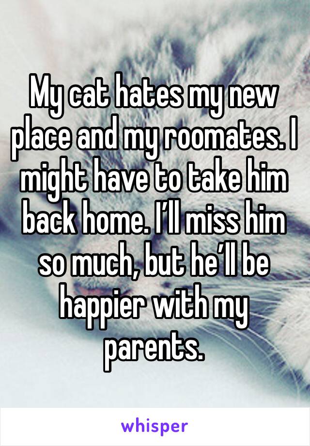My cat hates my new place and my roomates. I might have to take him back home. I’ll miss him so much, but he’ll be happier with my parents.