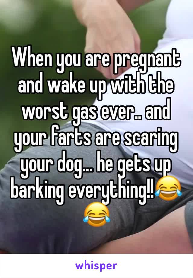 When you are pregnant and wake up with the worst gas ever.. and your farts are scaring your dog... he gets up barking everything!!😂😂