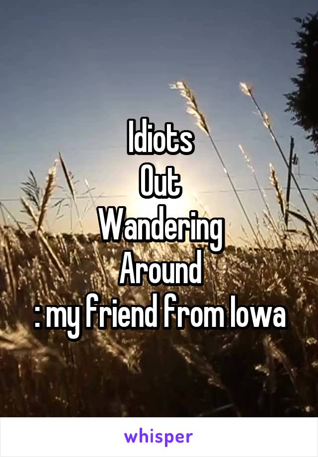 Idiots
Out
Wandering
Around
: my friend from Iowa