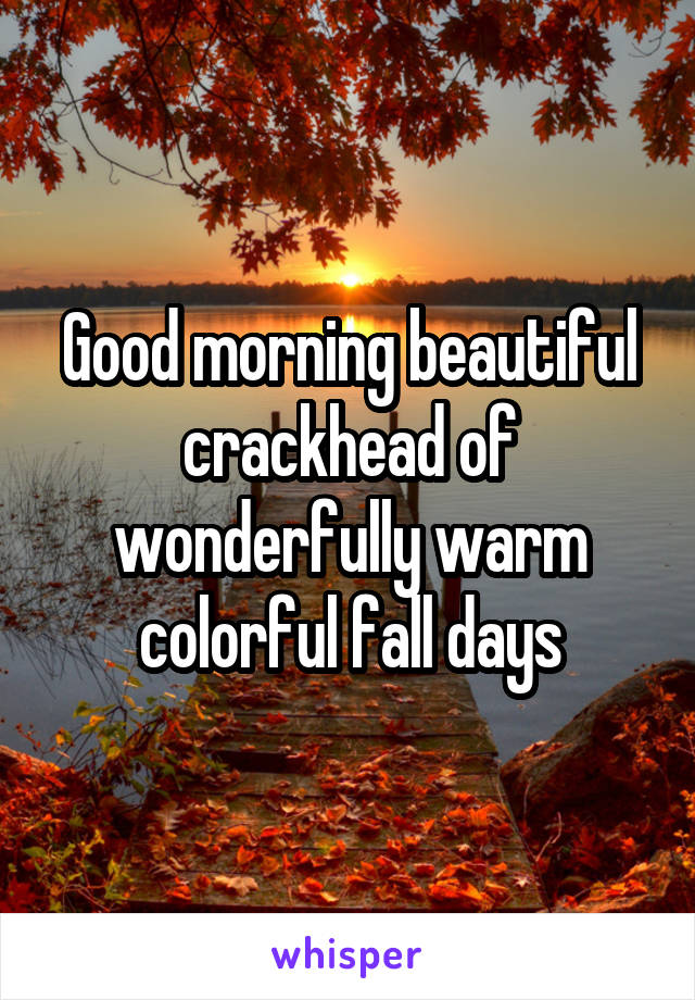Good morning beautiful crackhead of wonderfully warm colorful fall days