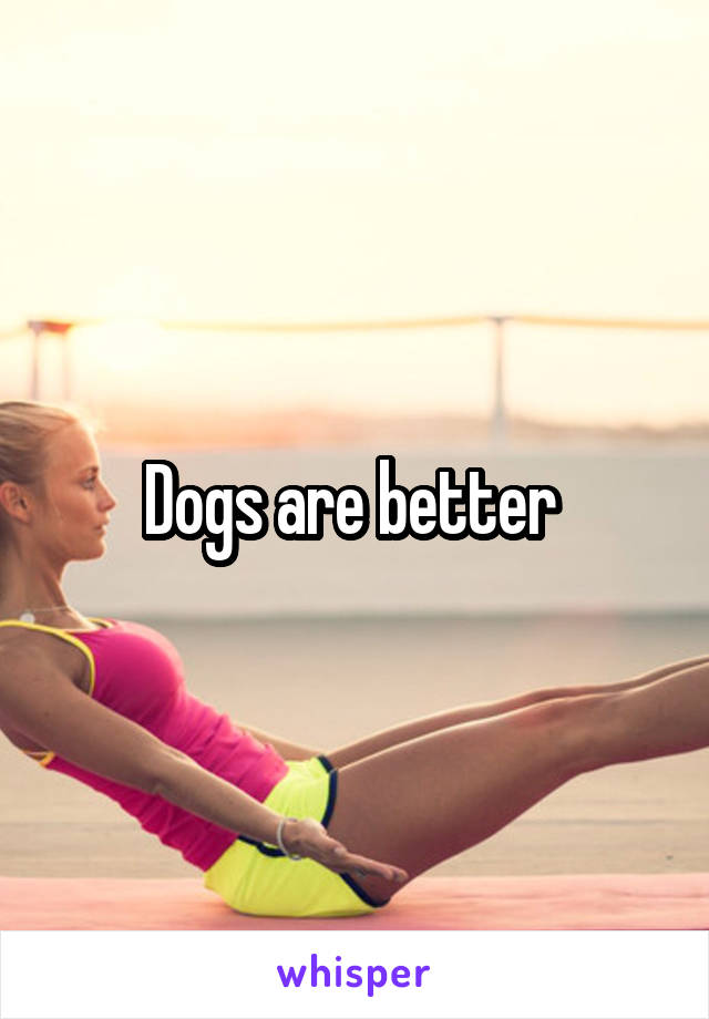 Dogs are better 