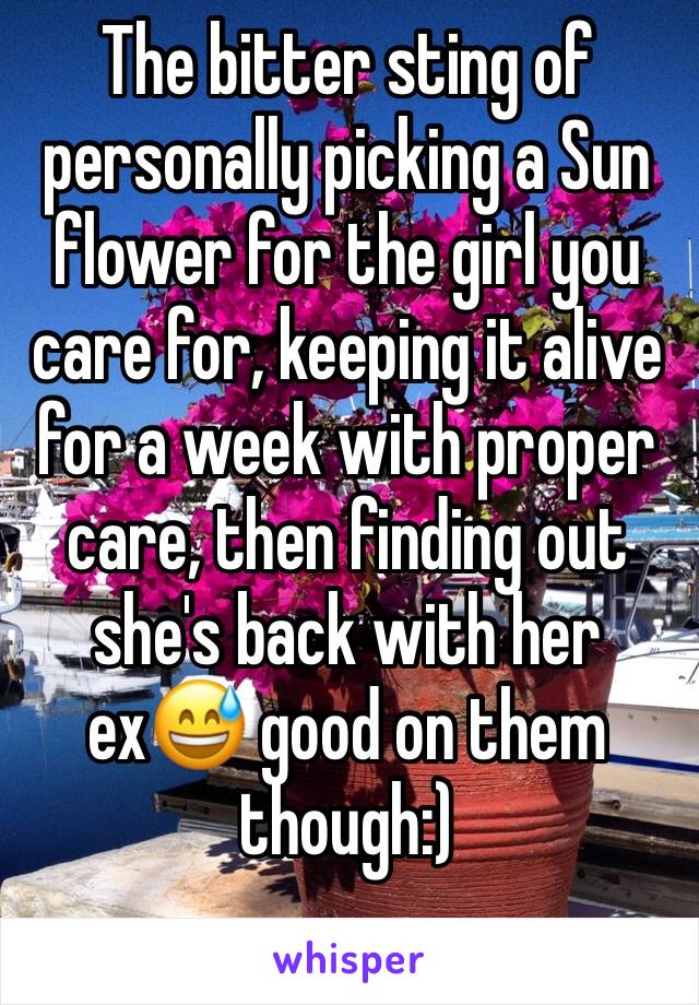 The bitter sting of personally picking a Sun flower for the girl you care for, keeping it alive for a week with proper care, then finding out she's back with her ex😅 good on them though:) 