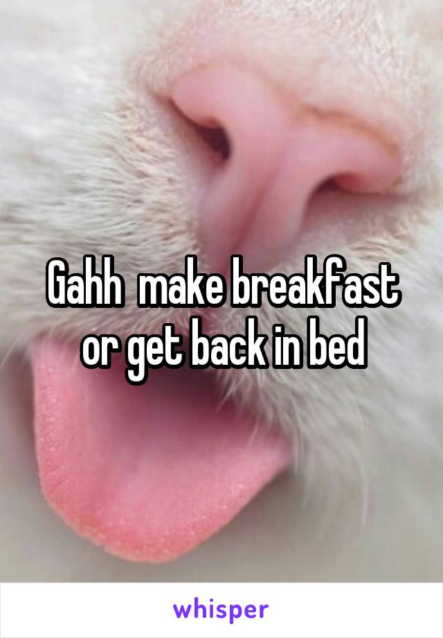 Gahh  make breakfast or get back in bed