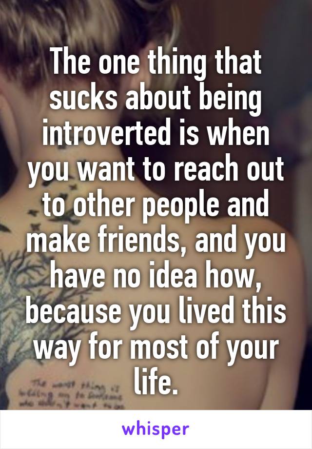 The one thing that sucks about being introverted is when you want to reach out to other people and make friends, and you have no idea how, because you lived this way for most of your life.