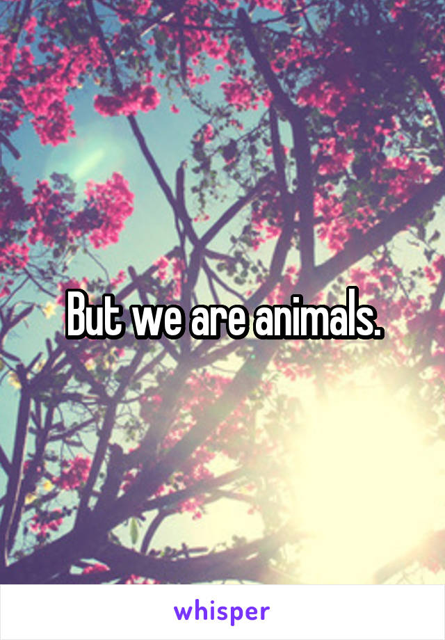 But we are animals.