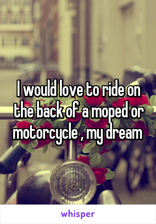 I would love to ride on the back of a moped or motorcycle , my dream 