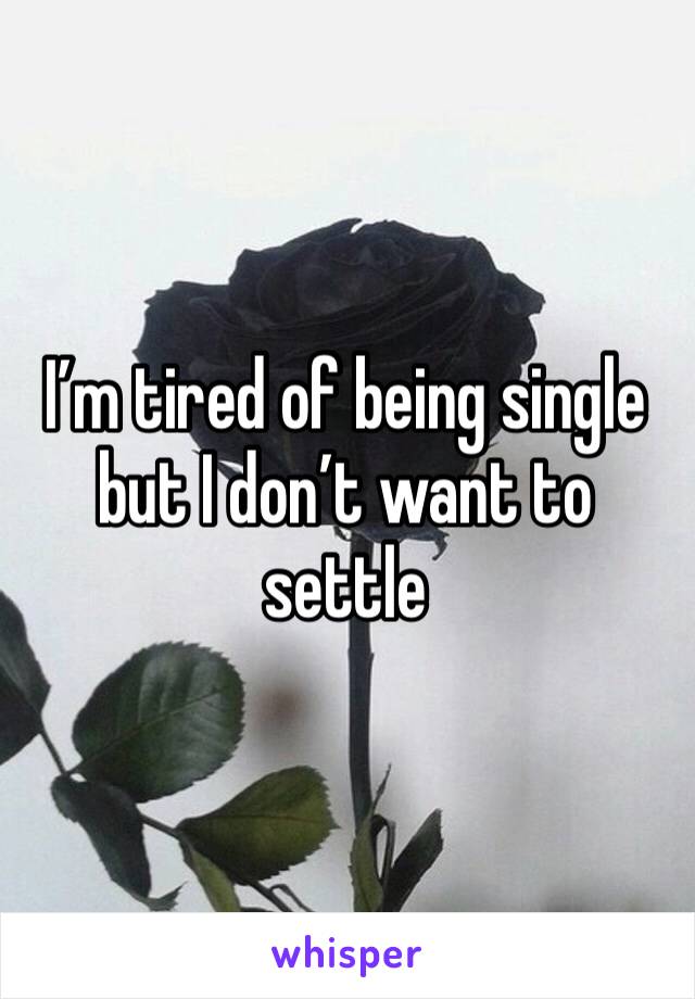 I’m tired of being single but I don’t want to settle 