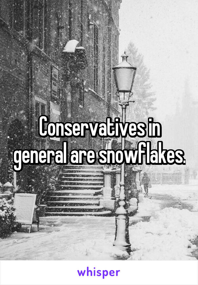 Conservatives in general are snowflakes.