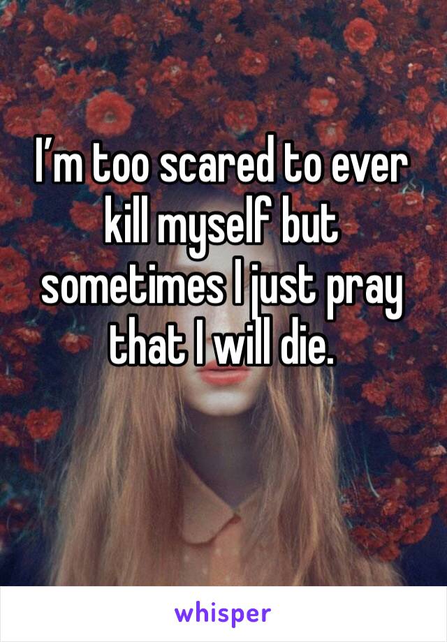 I’m too scared to ever kill myself but sometimes I just pray that I will die. 