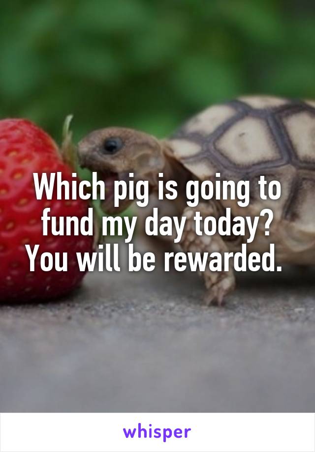 Which pig is going to fund my day today? You will be rewarded. 