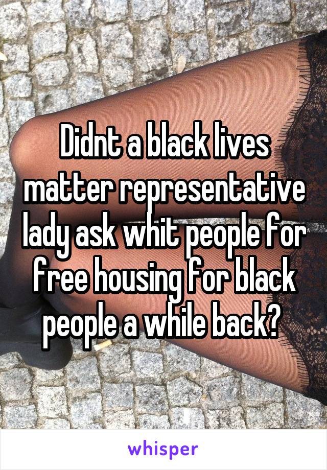 Didnt a black lives matter representative lady ask whit people for free housing for black people a while back? 