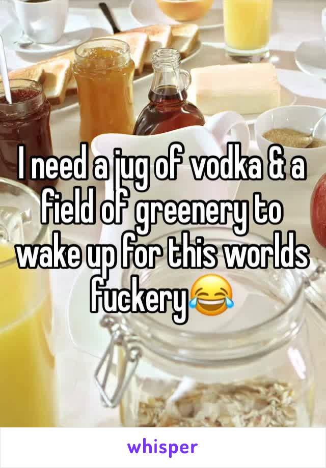 I need a jug of vodka & a field of greenery to wake up for this worlds fuckery😂