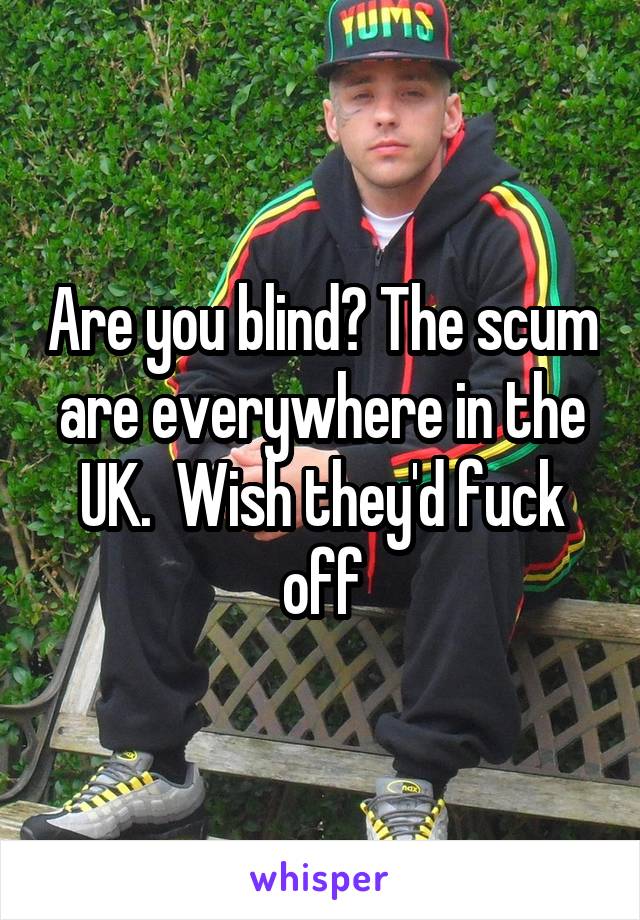 Are you blind? The scum are everywhere in the UK.  Wish they'd fuck off