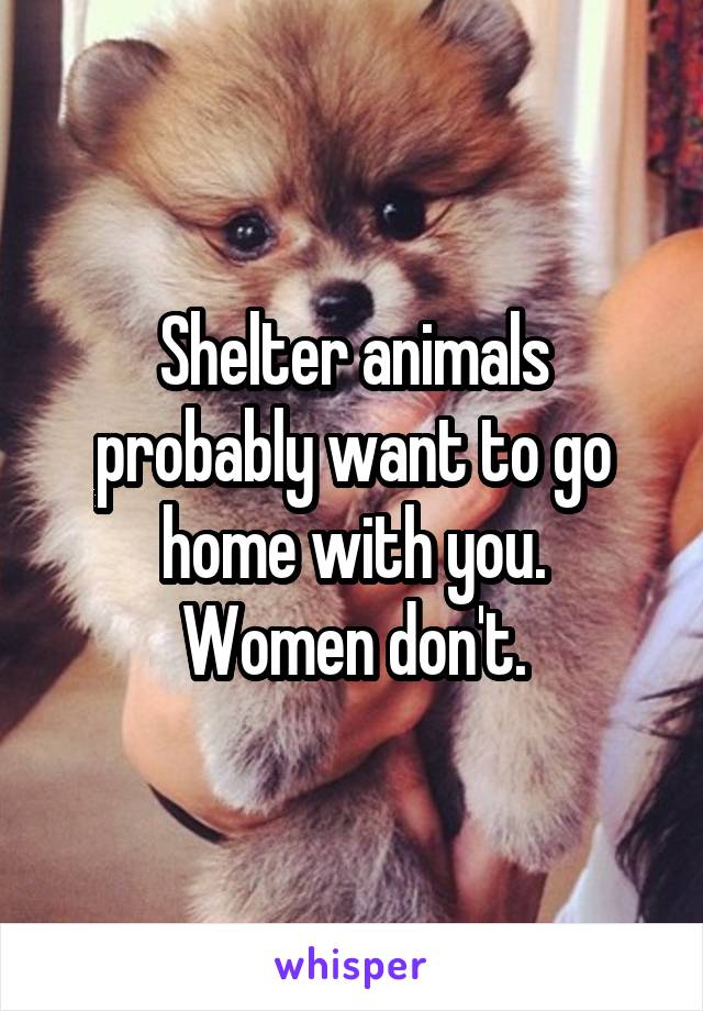 Shelter animals probably want to go home with you.
Women don't.