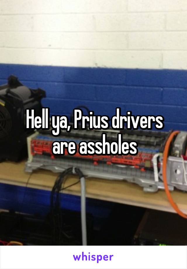 Hell ya, Prius drivers are assholes