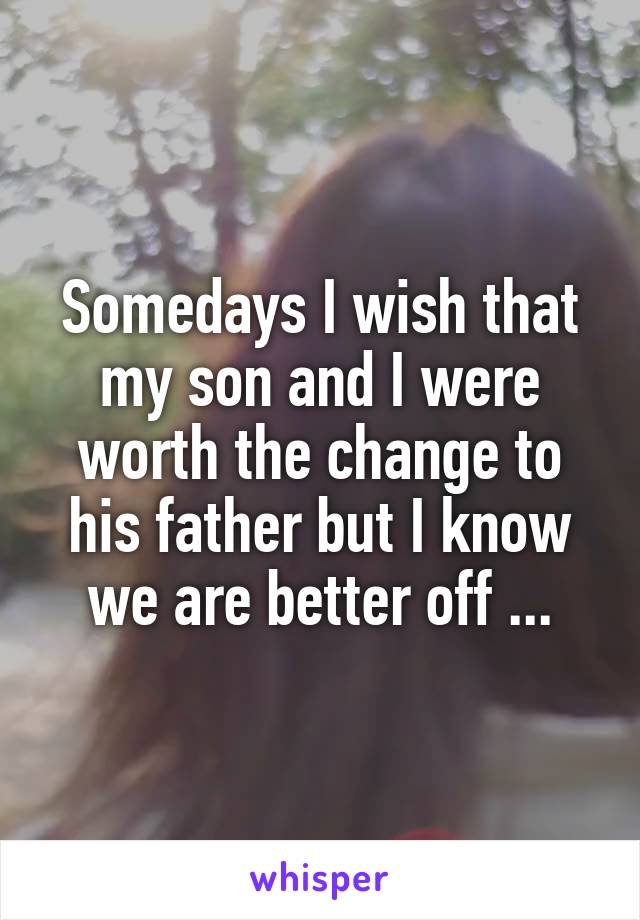 Somedays I wish that my son and I were worth the change to his father but I know we are better off ...