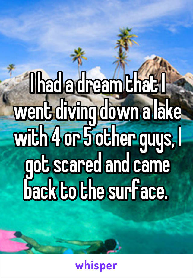 I had a dream that I went diving down a lake with 4 or 5 other guys, I got scared and came back to the surface. 