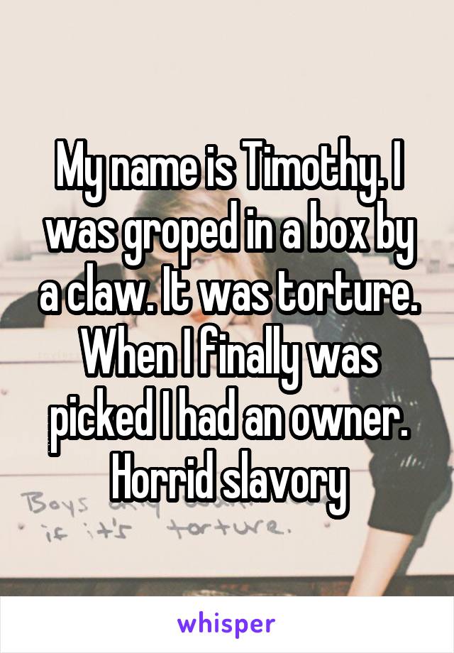 My name is Timothy. I was groped in a box by a claw. It was torture. When I finally was picked I had an owner. Horrid slavory