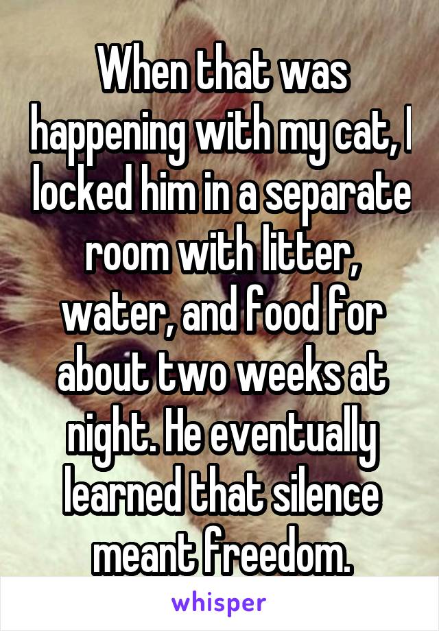 When that was happening with my cat, I locked him in a separate room with litter, water, and food for about two weeks at night. He eventually learned that silence meant freedom.