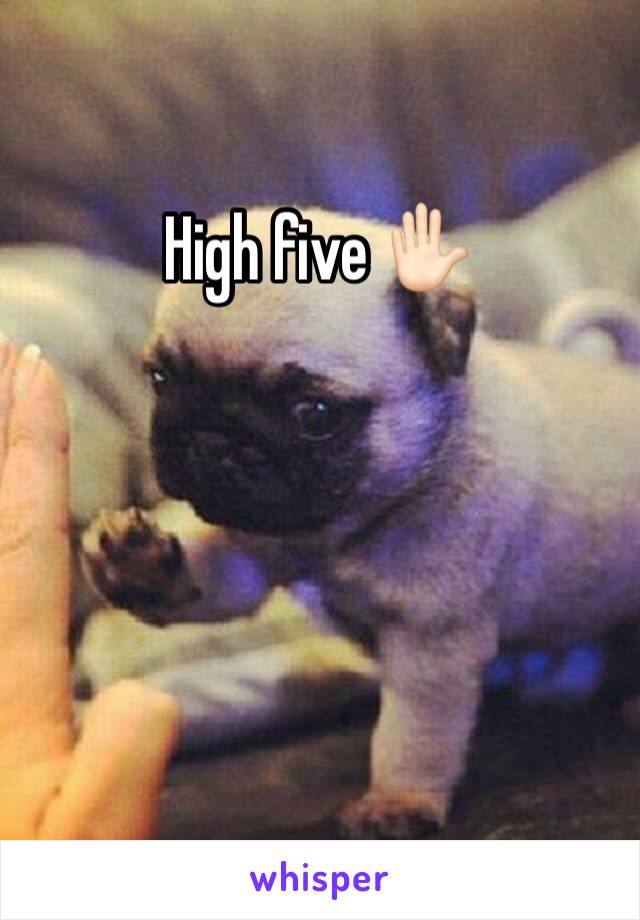 High five ✋🏻