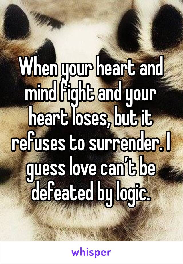 When your heart and mind fight and your heart loses, but it refuses to surrender. I guess love can’t be defeated by logic. 