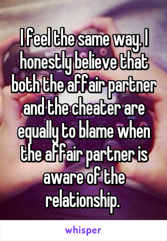 I feel the same way. I honestly believe that both the affair partner and the cheater are equally to blame when the affair partner is aware of the relationship. 