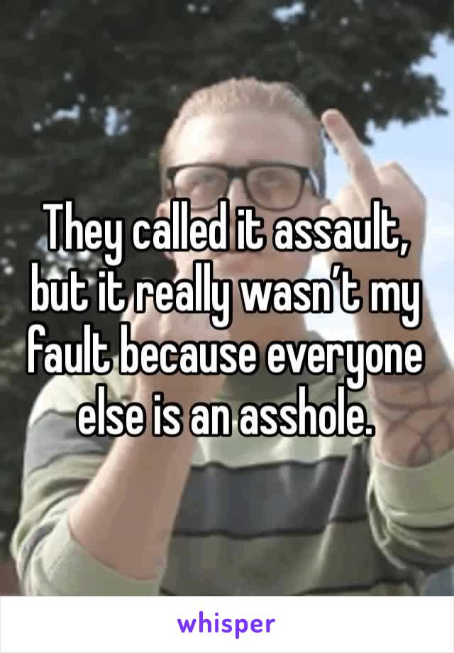 They called it assault, but it really wasn’t my fault because everyone else is an asshole. 