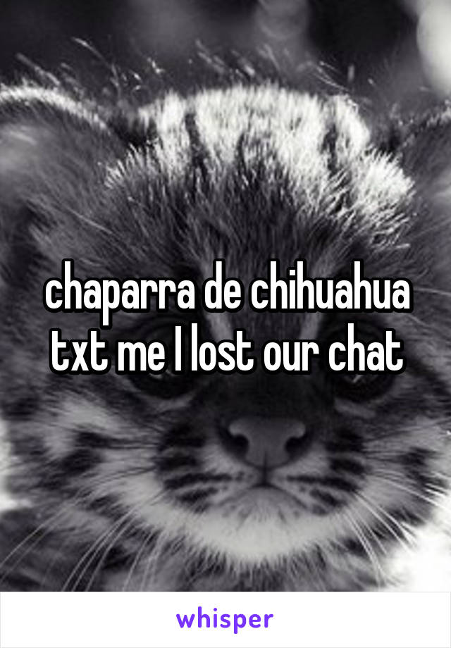 chaparra de chihuahua txt me I lost our chat