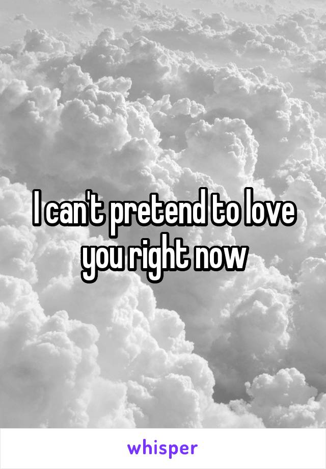 I can't pretend to love you right now
