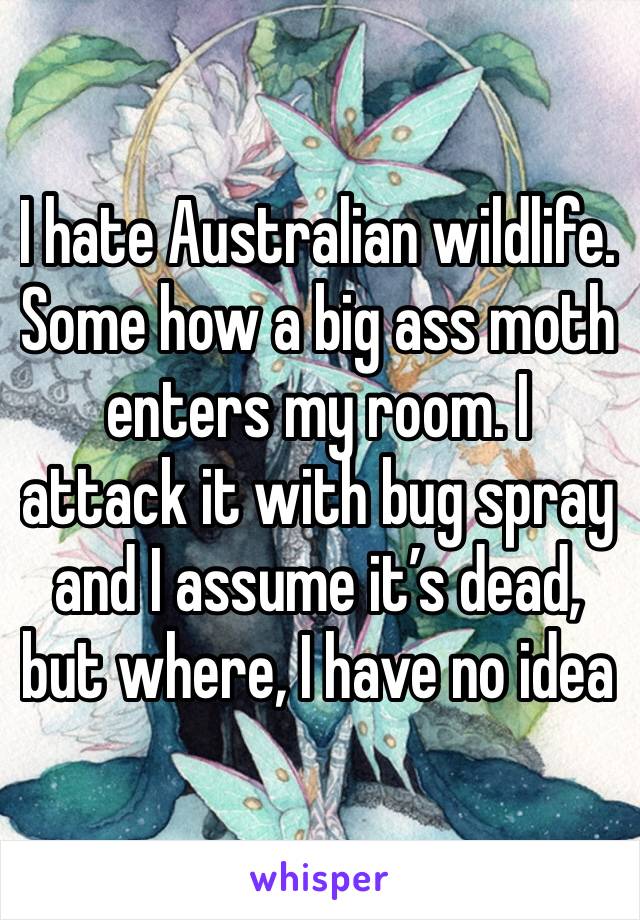 I hate Australian wildlife. Some how a big ass moth enters my room. I attack it with bug spray and I assume it’s dead, but where, I have no idea