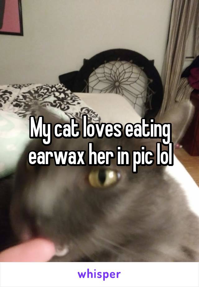 My cat loves eating earwax her in pic lol