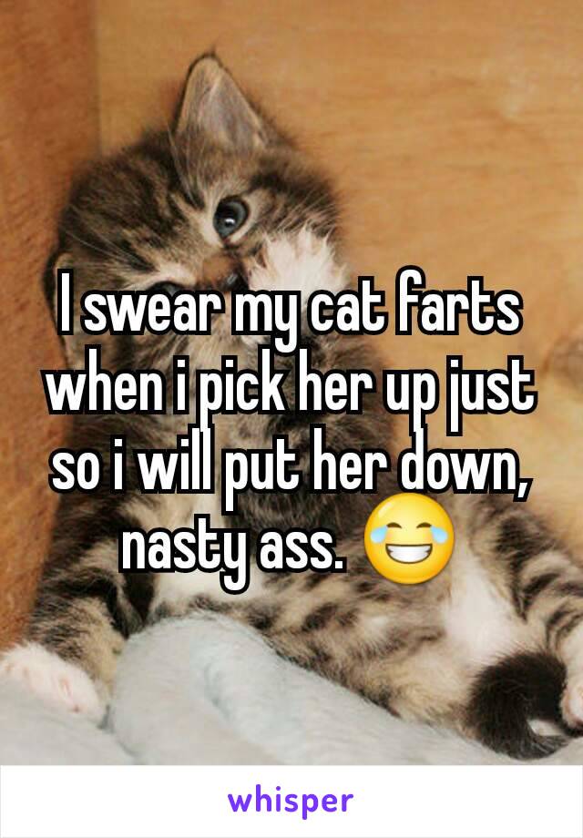 I swear my cat farts when i pick her up just so i will put her down, nasty ass. 😂
