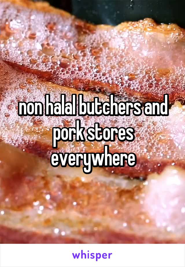 non halal butchers and pork stores everywhere