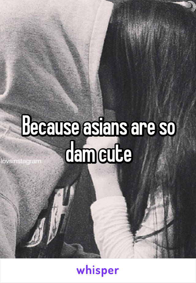 Because asians are so dam cute