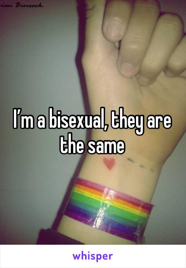 I’m a bisexual, they are the same 