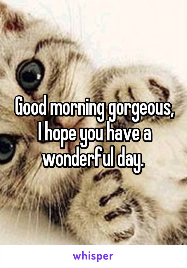 Good morning gorgeous, I hope you have a wonderful day. 