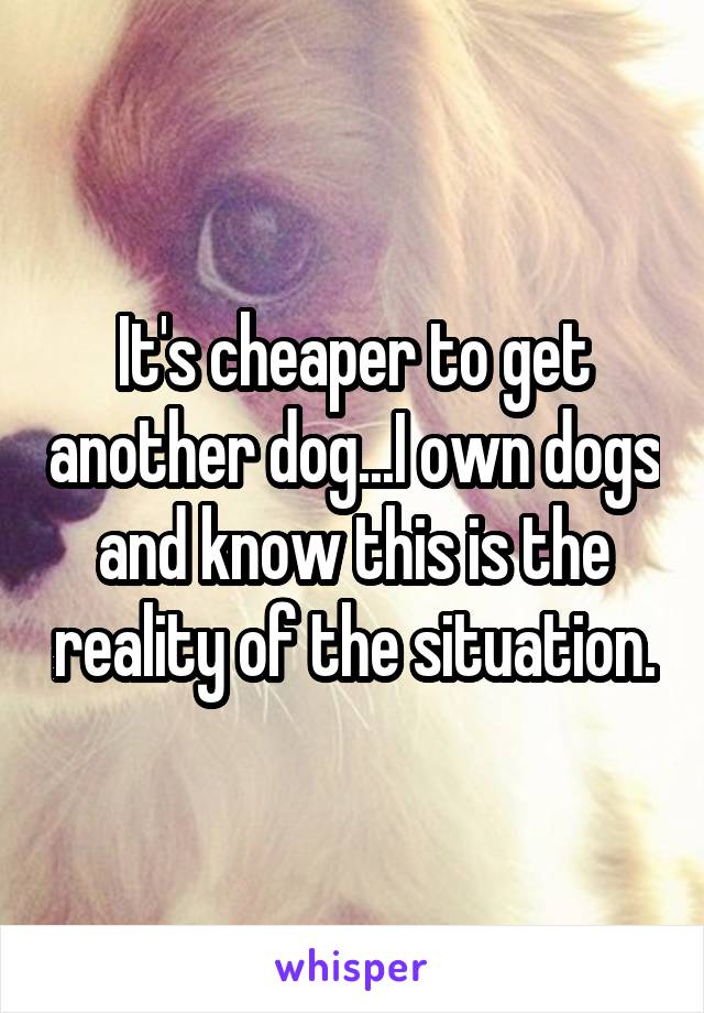 It's cheaper to get another dog...I own dogs and know this is the reality of the situation.