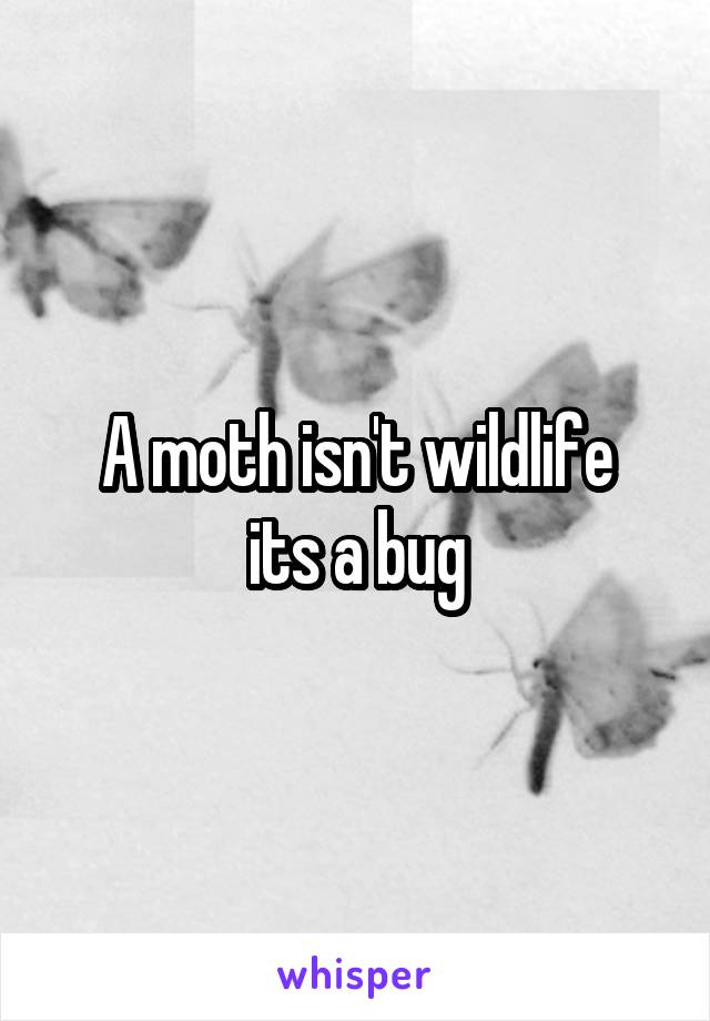 A moth isn't wildlife
 its a bug 