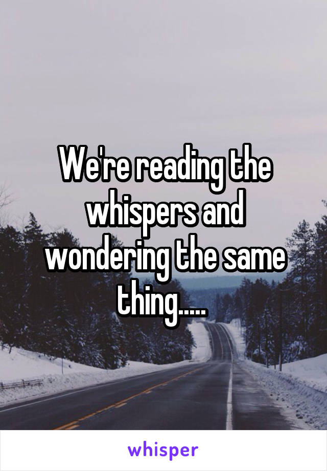 We're reading the whispers and wondering the same thing..... 
