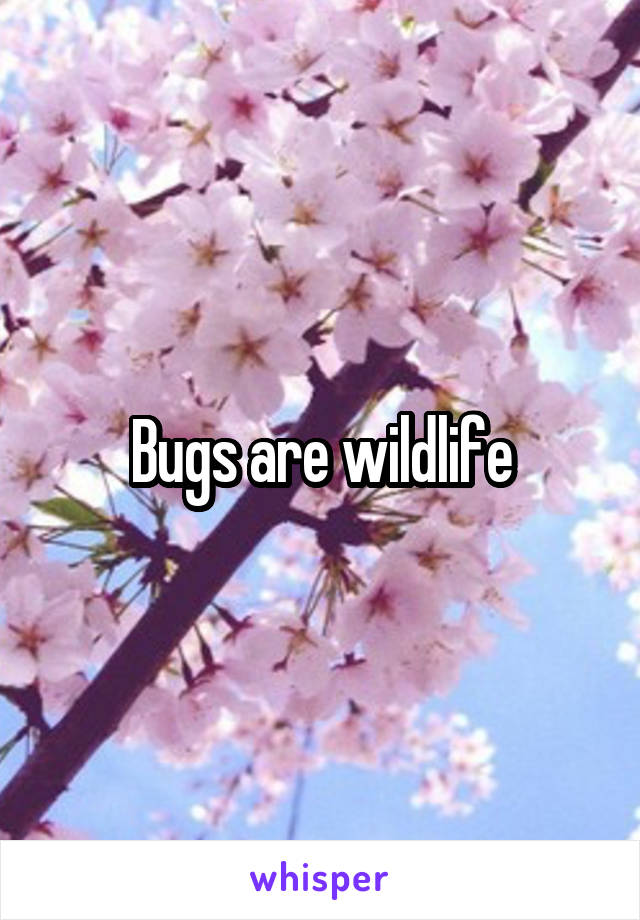 Bugs are wildlife
