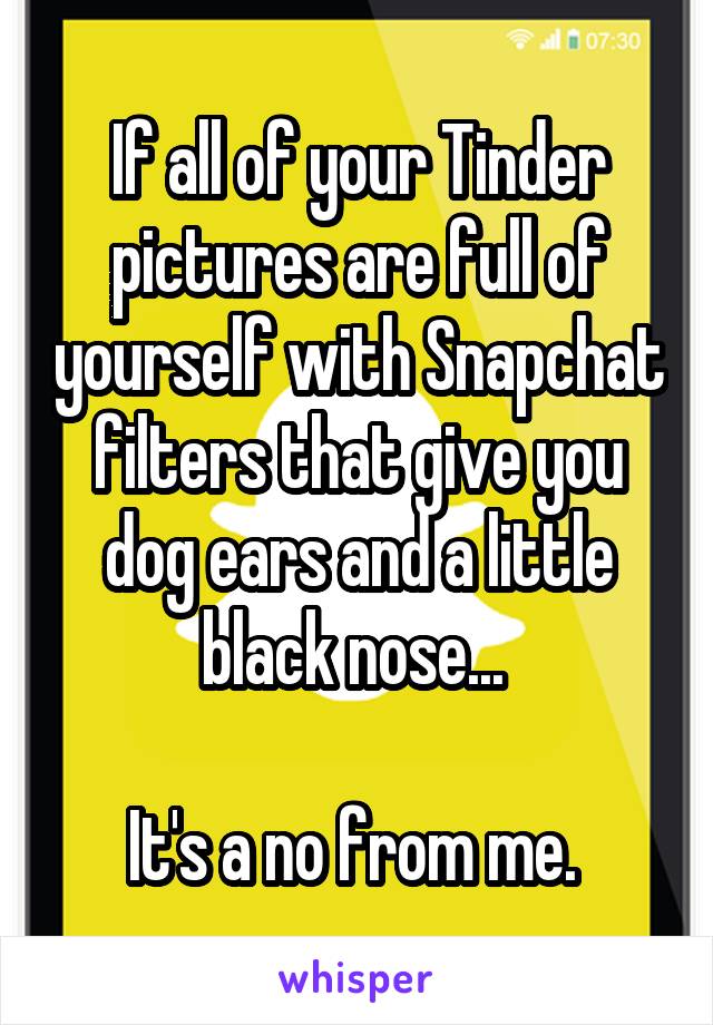 If all of your Tinder pictures are full of yourself with Snapchat filters that give you dog ears and a little black nose... 

It's a no from me. 