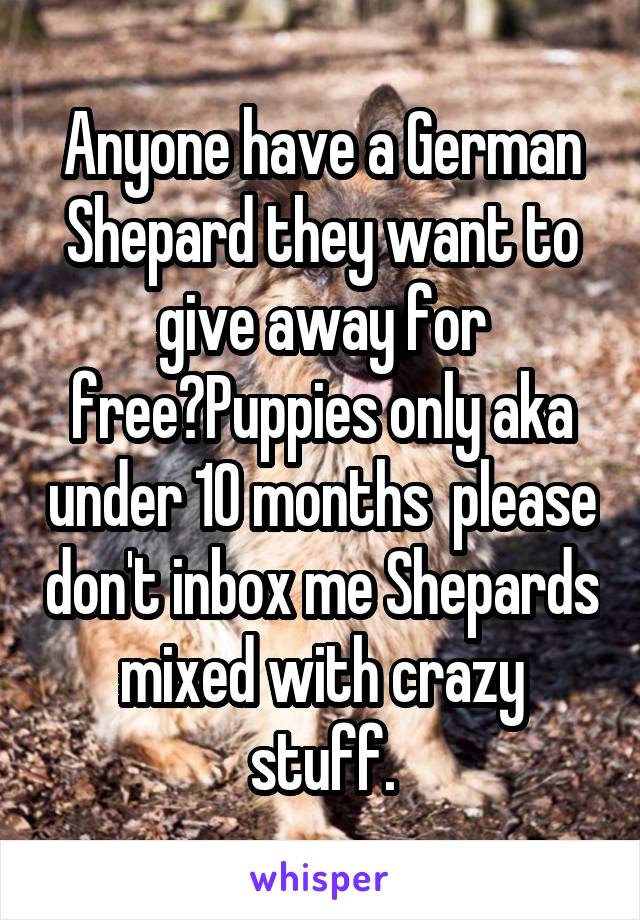 Anyone have a German Shepard they want to give away for free?Puppies only aka under 10 months  please don't inbox me Shepards mixed with crazy stuff.