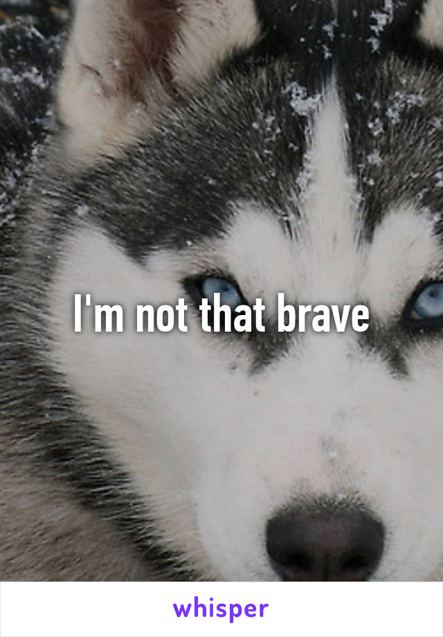 I'm not that brave