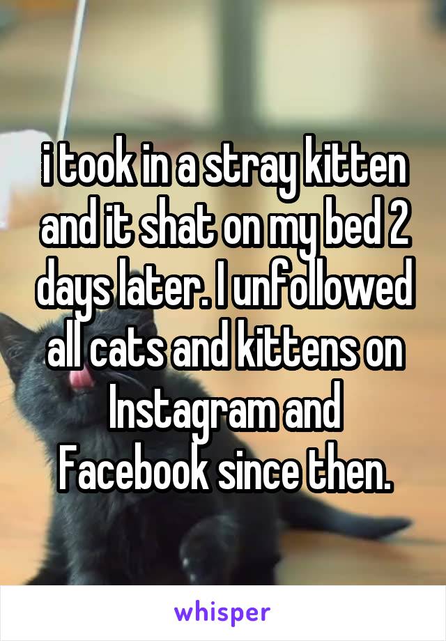 i took in a stray kitten and it shat on my bed 2 days later. I unfollowed all cats and kittens on Instagram and Facebook since then.