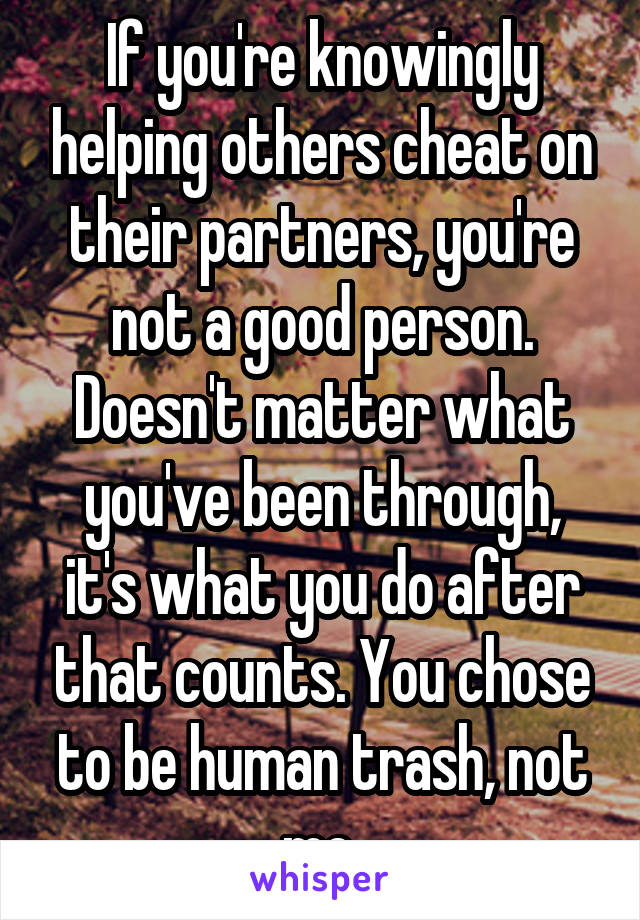 If you're knowingly helping others cheat on their partners, you're not a good person. Doesn't matter what you've been through, it's what you do after that counts. You chose to be human trash, not me.